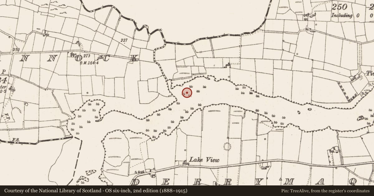 Ordnance Survey six-inch map, 2nd edition (1888–1915) covering the location of Settlement platform, Lough Gara, County Roscommon, with a pin at the register's coordinates