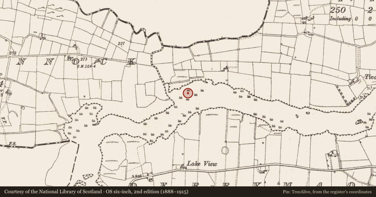 Ordnance Survey six-inch map, 2nd edition (1888–1915) covering the location of Settlement platform, Lough Gara, County Roscommon, with a pin at the register's coordinates