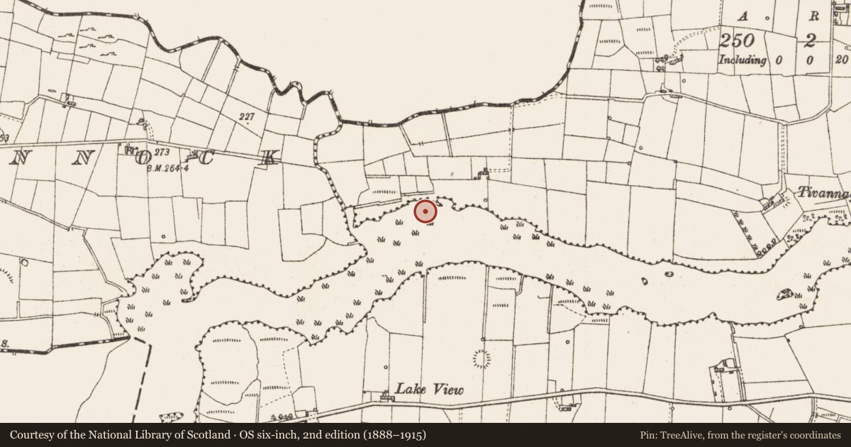 Ordnance Survey six-inch map, 2nd edition (1888–1915) covering the location of Platform - peatland, Lough Gara, County Roscommon, with a pin at the register's coordinates