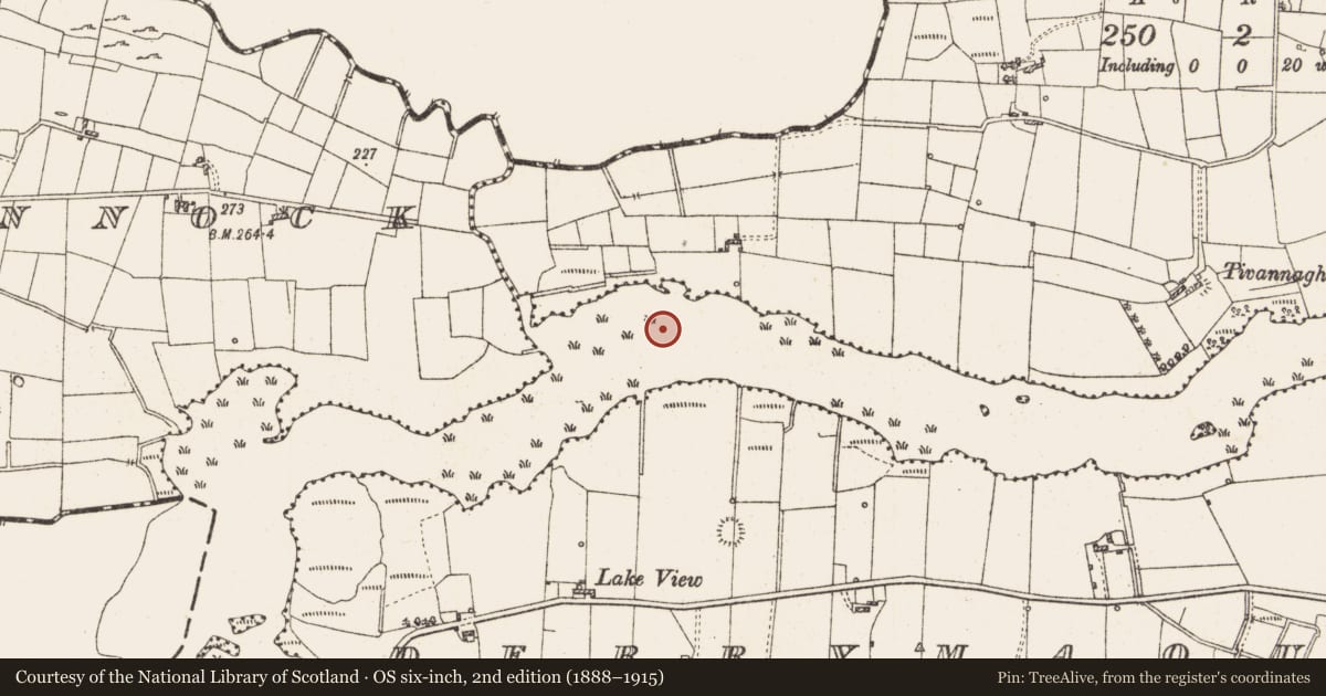 Ordnance Survey six-inch map, 2nd edition (1888–1915) covering the location of Settlement platform, Lough Gara, County Roscommon, with a pin at the register's coordinates