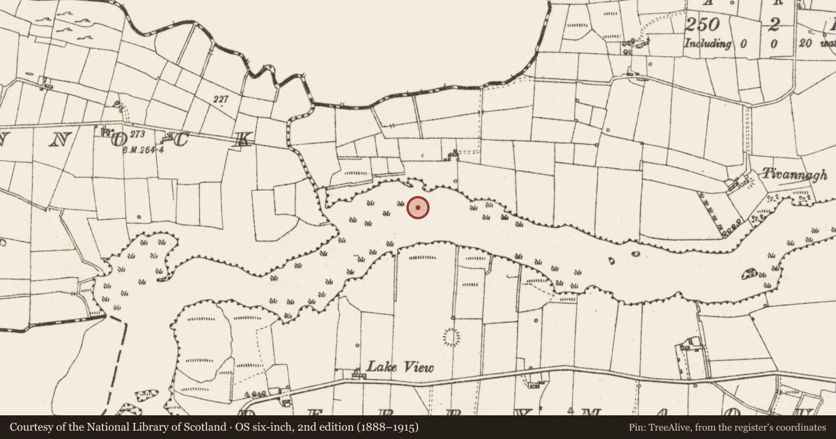 Ordnance Survey six-inch map, 2nd edition (1888–1915) covering the location of Settlement platform, Lough Gara, County Roscommon, with a pin at the register's coordinates