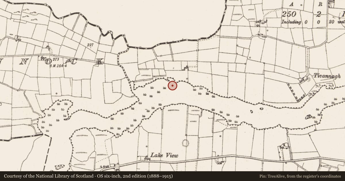 Ordnance Survey six-inch map, 2nd edition (1888–1915) covering the location of Settlement platform, Lough Gara, County Roscommon, with a pin at the register's coordinates