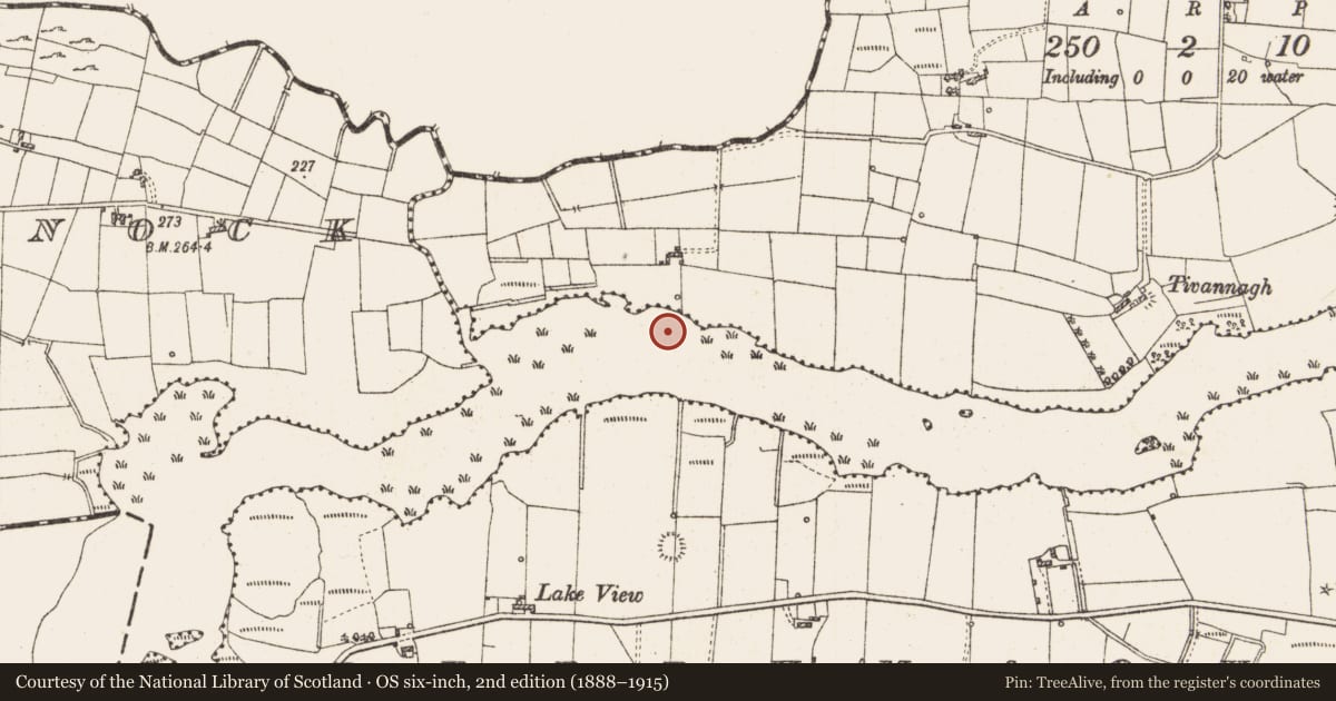 Ordnance Survey six-inch map, 2nd edition (1888–1915) covering the location of Settlement platform, Lough Gara, County Roscommon, with a pin at the register's coordinates