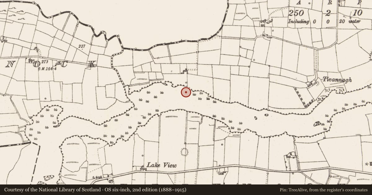 Ordnance Survey six-inch map, 2nd edition (1888–1915) covering the location of Settlement platform, Lough Gara, County Roscommon, with a pin at the register's coordinates