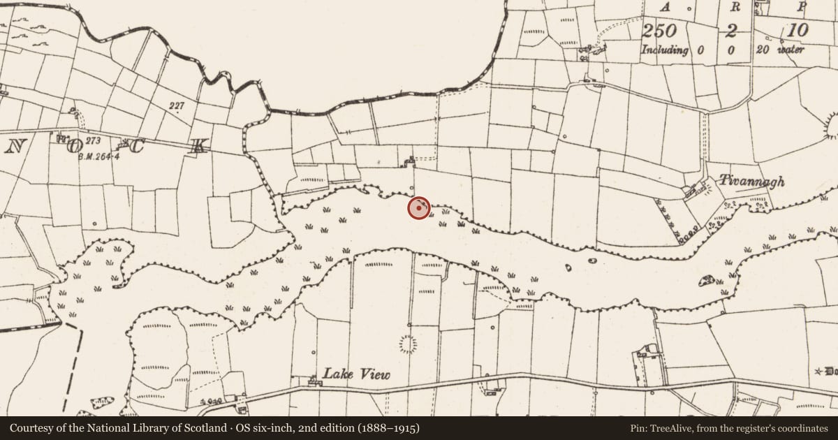 Ordnance Survey six-inch map, 2nd edition (1888–1915) covering the location of Settlement platform, Lough Gara, County Roscommon, with a pin at the register's coordinates