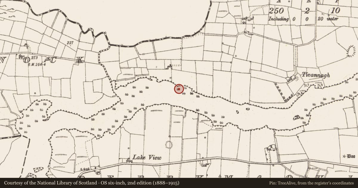 Ordnance Survey six-inch map, 2nd edition (1888–1915) covering the location of Crannog, Lough Gara, County Roscommon, with a pin at the register's coordinates