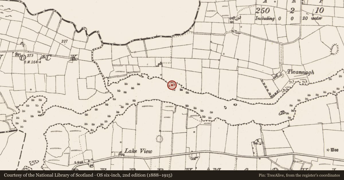 Ordnance Survey six-inch map, 2nd edition (1888–1915) covering the location of Settlement platform, Lough Gara, County Roscommon, with a pin at the register's coordinates