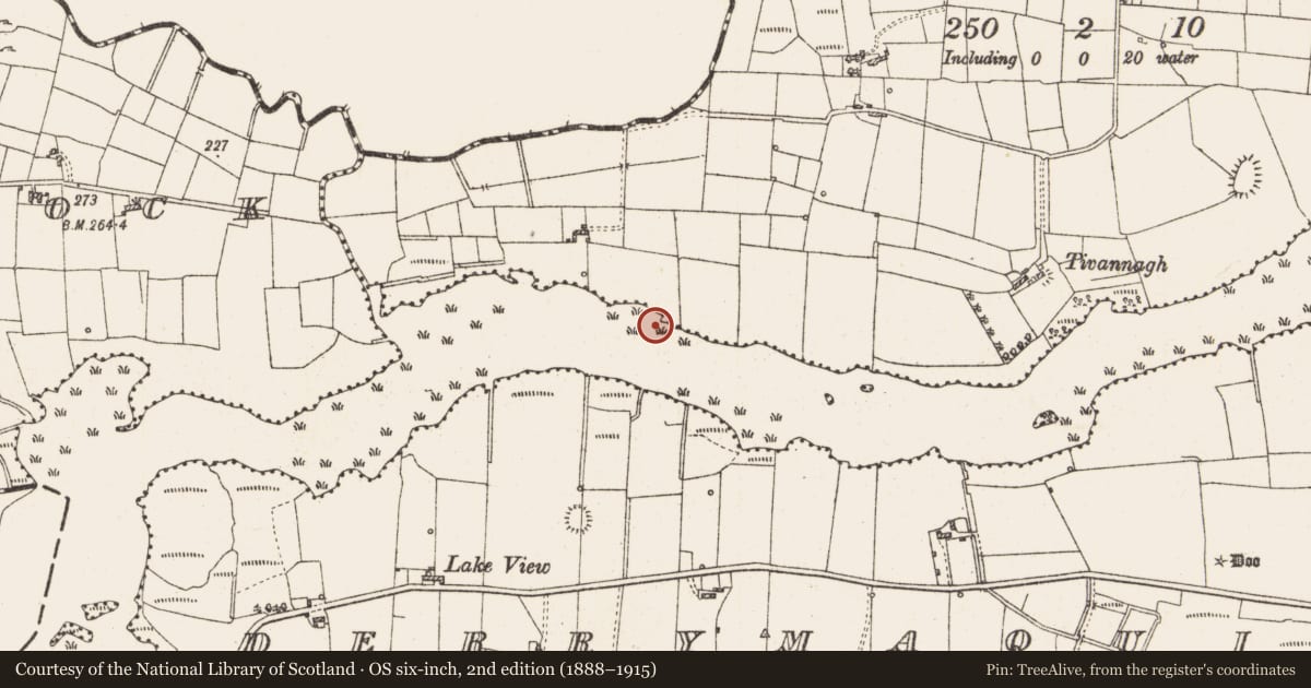 Ordnance Survey six-inch map, 2nd edition (1888–1915) covering the location of Settlement platform, Lough Gara, County Roscommon, with a pin at the register's coordinates
