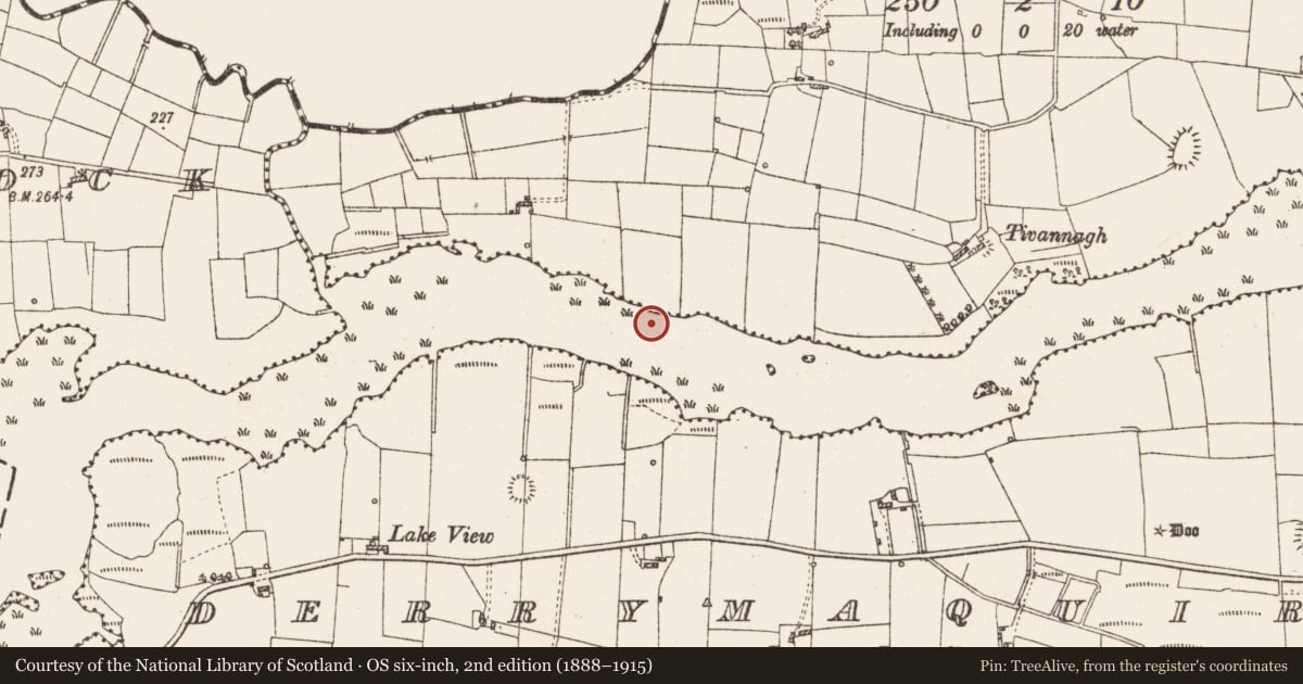 Ordnance Survey six-inch map, 2nd edition (1888–1915) covering the location of Settlement platform, Lough Gara, County Roscommon, with a pin at the register's coordinates