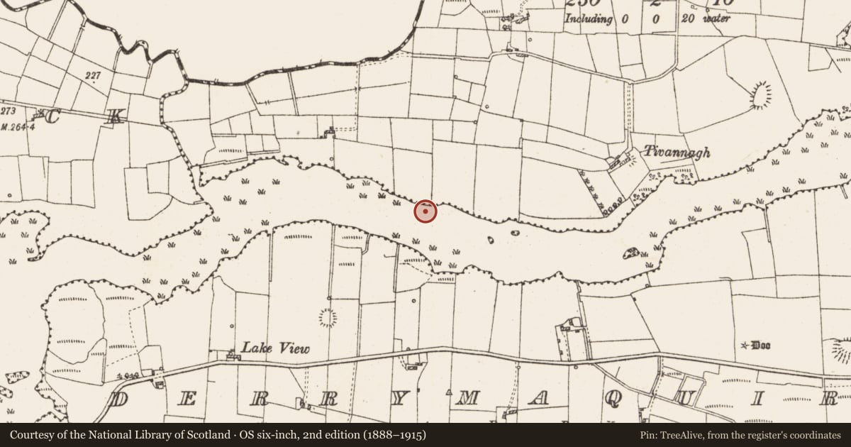 Ordnance Survey six-inch map, 2nd edition (1888–1915) covering the location of Settlement platform, Lough Gara, County Roscommon, with a pin at the register's coordinates