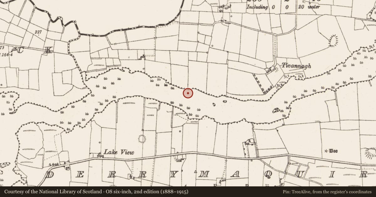 Ordnance Survey six-inch map, 2nd edition (1888–1915) covering the location of Settlement platform, Lough Gara, County Roscommon, with a pin at the register's coordinates