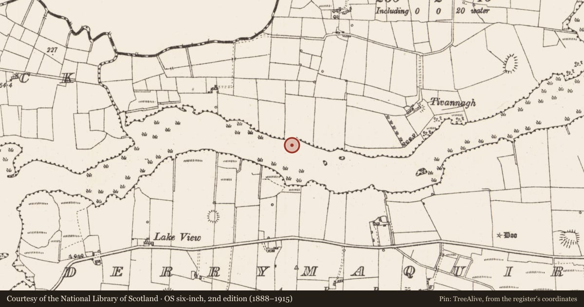 Ordnance Survey six-inch map, 2nd edition (1888–1915) covering the location of Settlement platform, Lough Gara, County Roscommon, with a pin at the register's coordinates