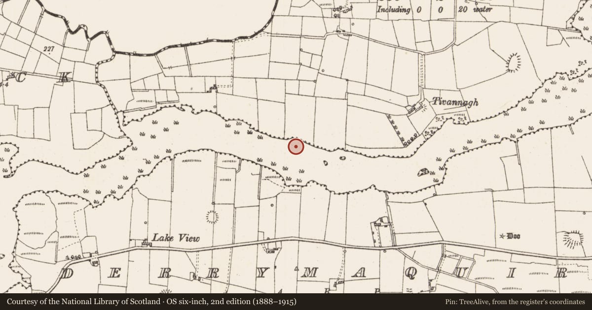 Ordnance Survey six-inch map, 2nd edition (1888–1915) covering the location of Settlement platform, Lough Gara, County Roscommon, with a pin at the register's coordinates