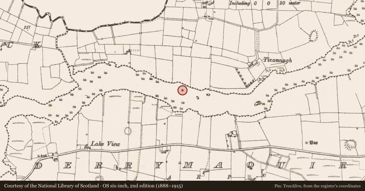 Ordnance Survey six-inch map, 2nd edition (1888–1915) covering the location of Settlement platform, Lough Gara, County Roscommon, with a pin at the register's coordinates