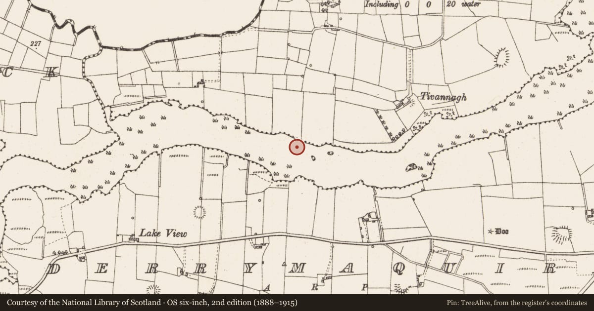 Ordnance Survey six-inch map, 2nd edition (1888–1915) covering the location of Settlement platform, Lough Gara, County Roscommon, with a pin at the register's coordinates