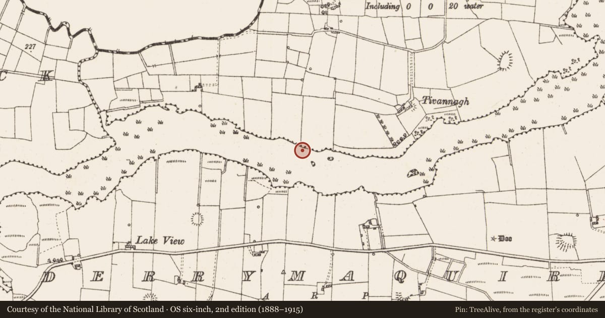 Ordnance Survey six-inch map, 2nd edition (1888–1915) covering the location of Settlement platform, Lough Gara, County Roscommon, with a pin at the register's coordinates