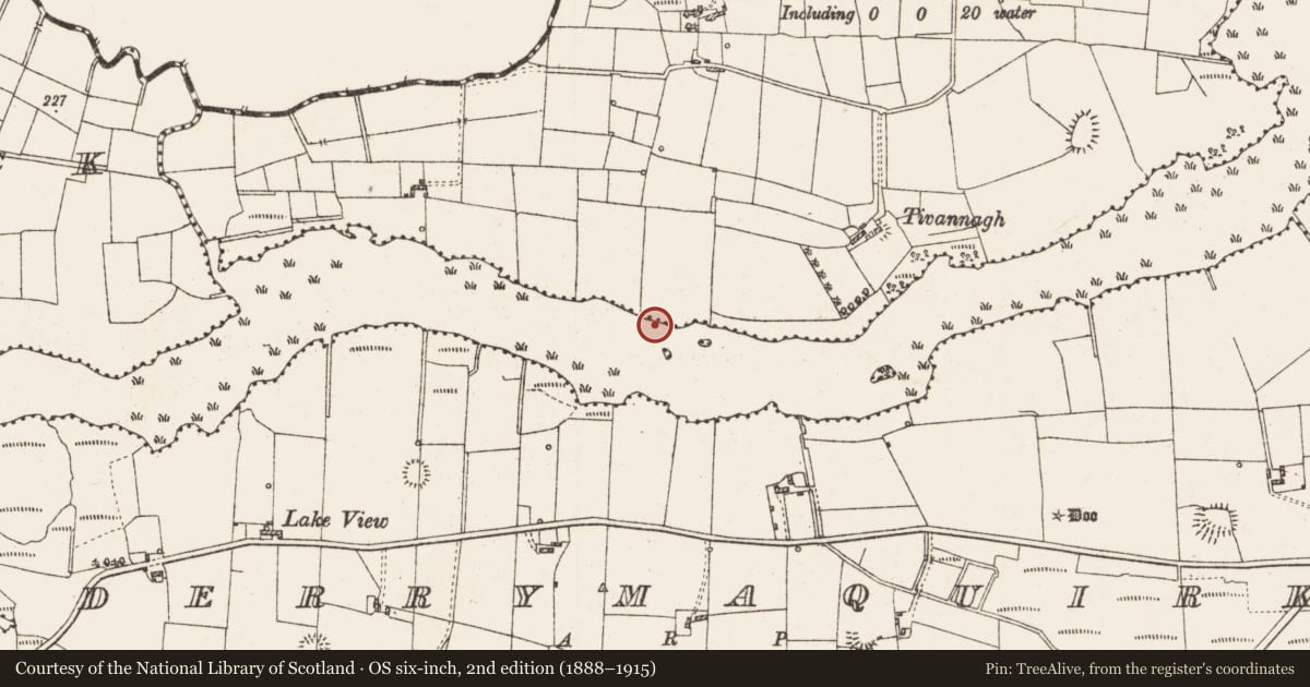 Ordnance Survey six-inch map, 2nd edition (1888–1915) covering the location of Settlement platform, Lough Gara, County Roscommon, with a pin at the register's coordinates