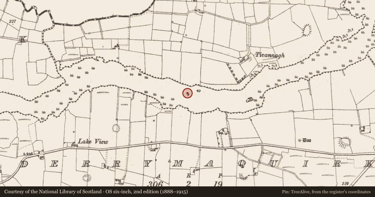 Ordnance Survey six-inch map, 2nd edition (1888–1915) covering the location of Crannog, Lough Gara, County Roscommon, with a pin at the register's coordinates