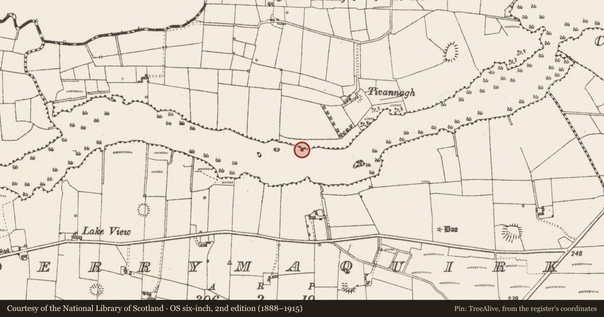 Ordnance Survey six-inch map, 2nd edition (1888–1915) covering the location of Crannog, Lough Gara, County Roscommon, with a pin at the register's coordinates