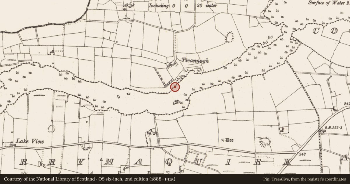 Ordnance Survey six-inch map, 2nd edition (1888–1915) covering the location of Settlement platform, Lough Gara, County Roscommon, with a pin at the register's coordinates