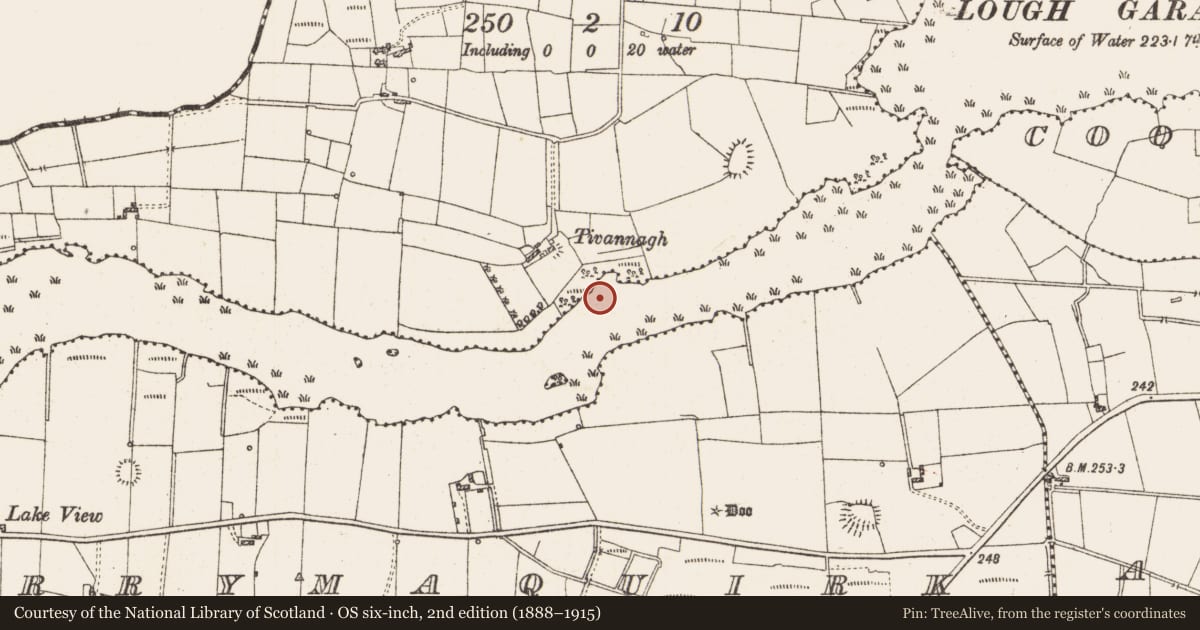 Ordnance Survey six-inch map, 2nd edition (1888–1915) covering the location of Settlement platform, Lough Gara, County Roscommon, with a pin at the register's coordinates