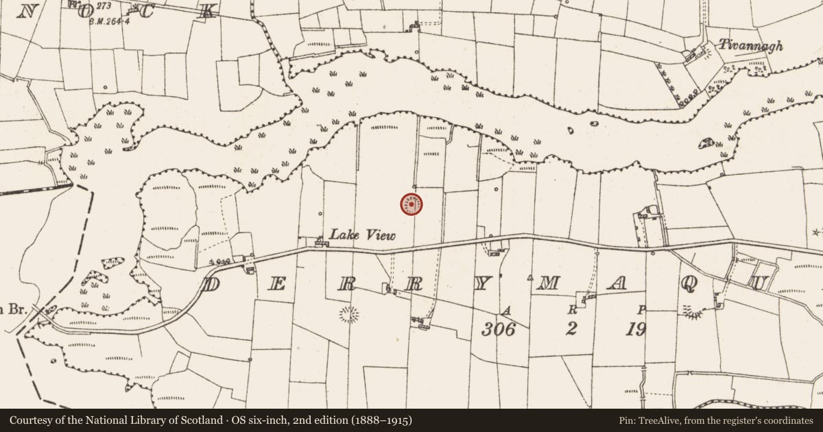 Ordnance Survey six-inch map, 2nd edition (1888–1915) covering the location of Ringfort - rath, Derrymaquirk, County Roscommon, with a pin at the register's coordinates