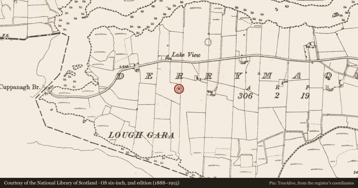 Ordnance Survey six-inch map, 2nd edition (1888–1915) covering the location of Ringfort - rath, Derrymaquirk, County Roscommon, with a pin at the register's coordinates