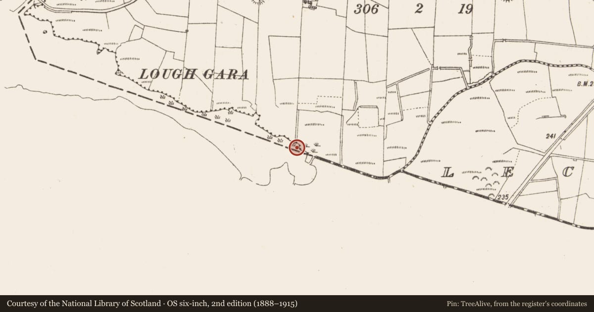 Ordnance Survey six-inch map, 2nd edition (1888–1915) covering the location of Crannog, Derrymaquirk, County Roscommon, with a pin at the register's coordinates