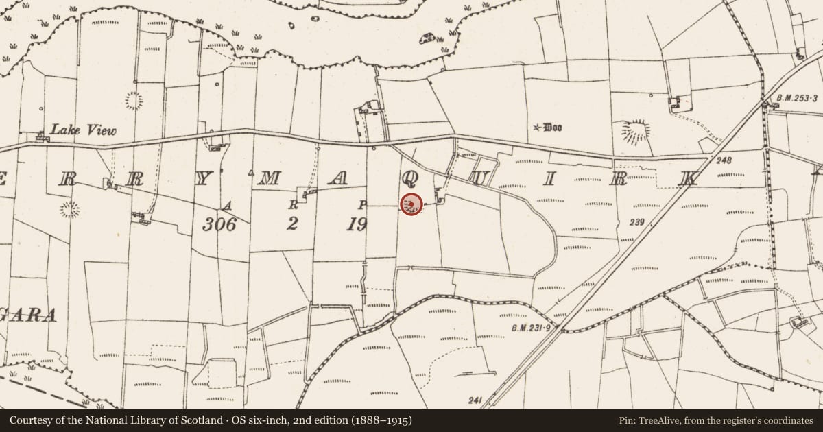Ordnance Survey six-inch map, 2nd edition (1888–1915) covering the location of Ringfort - rath, Derrymaquirk, County Roscommon, with a pin at the register's coordinates
