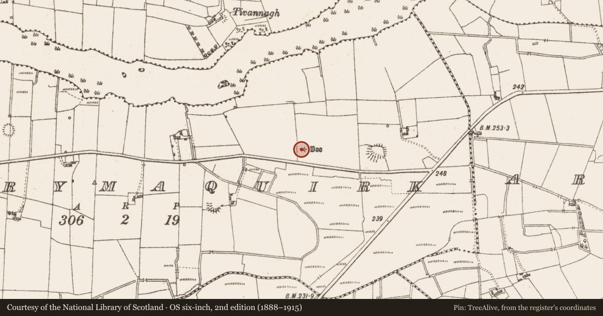 Ordnance Survey six-inch map, 2nd edition (1888–1915) covering the location of Barrow - mound barrow, Derrymaquirk, County Roscommon, with a pin at the register's coordinates