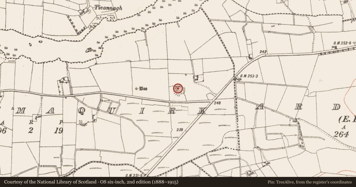 Ordnance Survey six-inch map, 2nd edition (1888–1915) covering the location of Ringfort - rath, Derrymaquirk, County Roscommon, with a pin at the register's coordinates