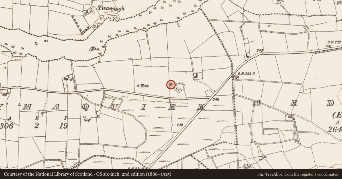 Ordnance Survey six-inch map, 2nd edition (1888–1915) covering the location of Ringfort - rath, Derrymaquirk, County Roscommon, with a pin at the register's coordinates