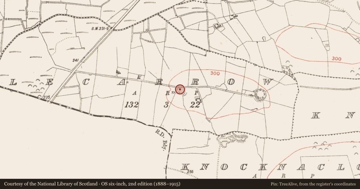 Ordnance Survey six-inch map, 2nd edition (1888–1915) covering the location of Ringfort - rath, Lecarrow, County Roscommon, with a pin at the register's coordinates