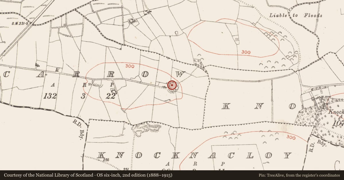 Ordnance Survey six-inch map, 2nd edition (1888–1915) covering the location of Ringfort - rath, Lecarrow, County Roscommon, with a pin at the register's coordinates