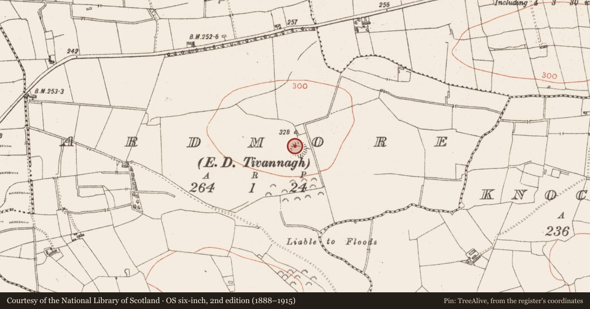 Ordnance Survey six-inch map, 2nd edition (1888–1915) covering the location of Ringfort - rath, Ardmore, County Roscommon, with a pin at the register's coordinates