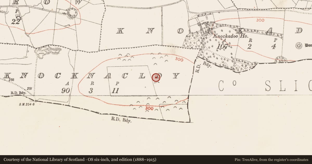 Ordnance Survey six-inch map, 2nd edition (1888–1915) covering the location of Field system, Knocknacloy, County Roscommon, with a pin at the register's coordinates