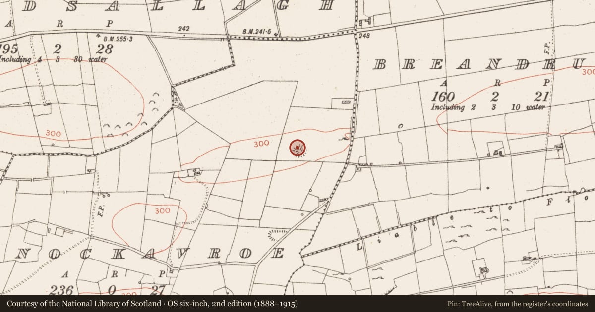 Ordnance Survey six-inch map, 2nd edition (1888–1915) covering the location of Barrow - ring-barrow, Knockavroe, County Roscommon, with a pin at the register's coordinates