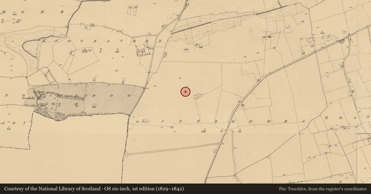Ordnance Survey six-inch map, 1st edition (1829–1842) covering the location of Ringfort - rath, Lisserdrea, County Roscommon, with a pin at the register's coordinates