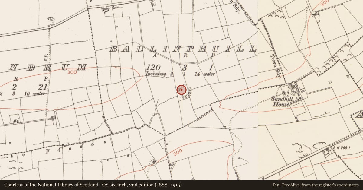 Ordnance Survey six-inch map, 2nd edition (1888–1915) covering the location of Embanked enclosure, Ballinphuill, County Roscommon, with a pin at the register's coordinates