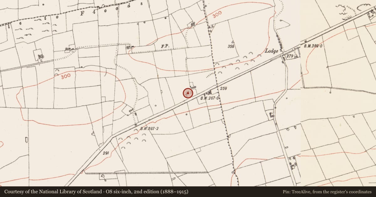 Ordnance Survey six-inch map, 2nd edition (1888–1915) covering the location of Ringfort - rath, Lisserdrea, County Roscommon, with a pin at the register's coordinates