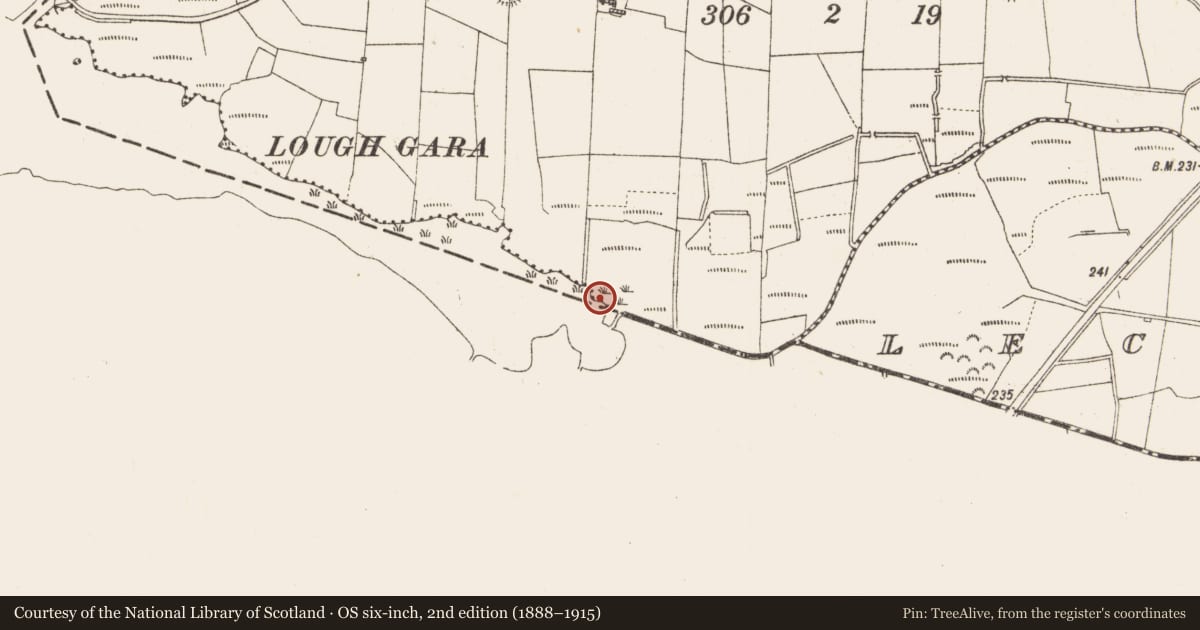 Ordnance Survey six-inch map, 2nd edition (1888–1915) covering the location of Burial, Derrymaquirk, County Roscommon, with a pin at the register's coordinates