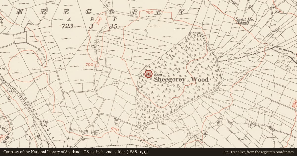 Ordnance Survey six-inch map, 2nd edition (1888–1915) covering the location of Cairn - unclassified, Sheegorey, County Roscommon, with a pin at the register's coordinates