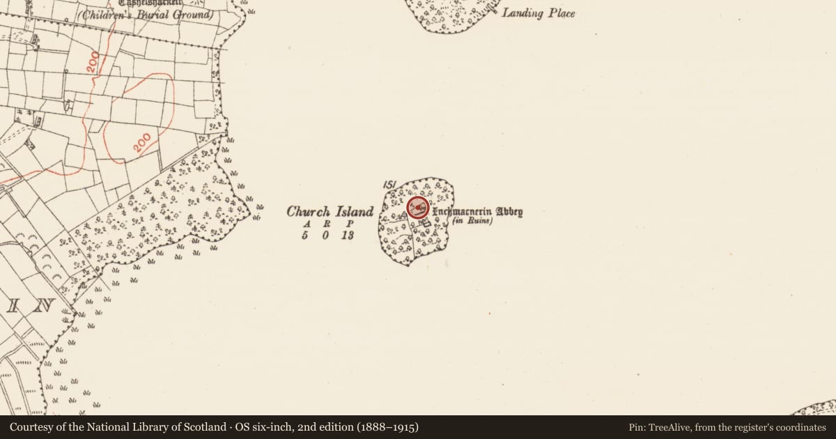 Ordnance Survey six-inch map, 2nd edition (1888–1915) covering the location of Religious house - Augustinian canons, Church Island, County Roscommon, with a pin at the register's coordinates