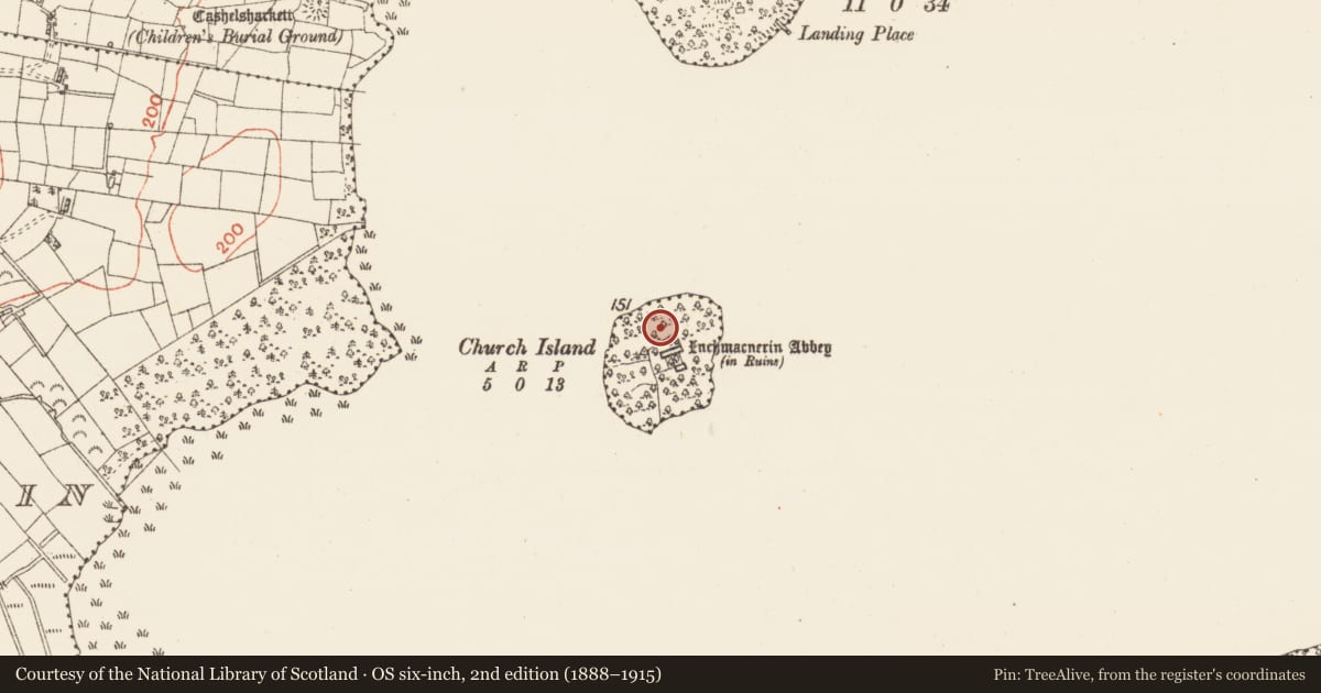 Ordnance Survey six-inch map, 2nd edition (1888–1915) covering the location of Cairn - clearance cairn, Church Island, County Roscommon, with a pin at the register's coordinates