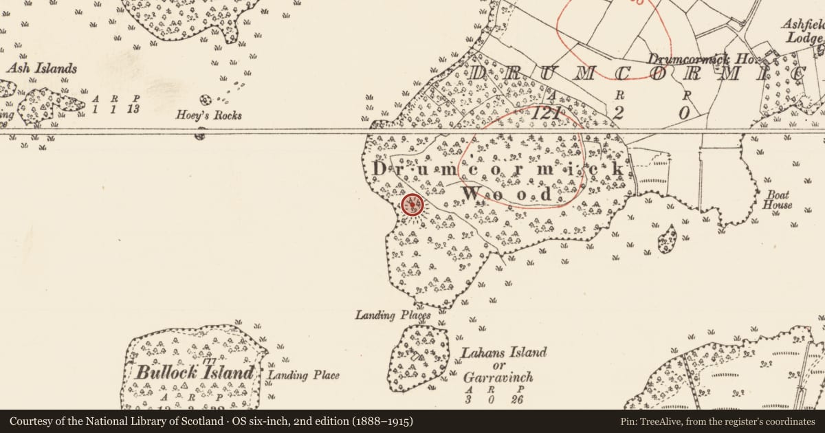 Ordnance Survey six-inch map, 2nd edition (1888–1915) covering the location of Ringfort - cashel, Drumcormick, County Roscommon, with a pin at the register's coordinates