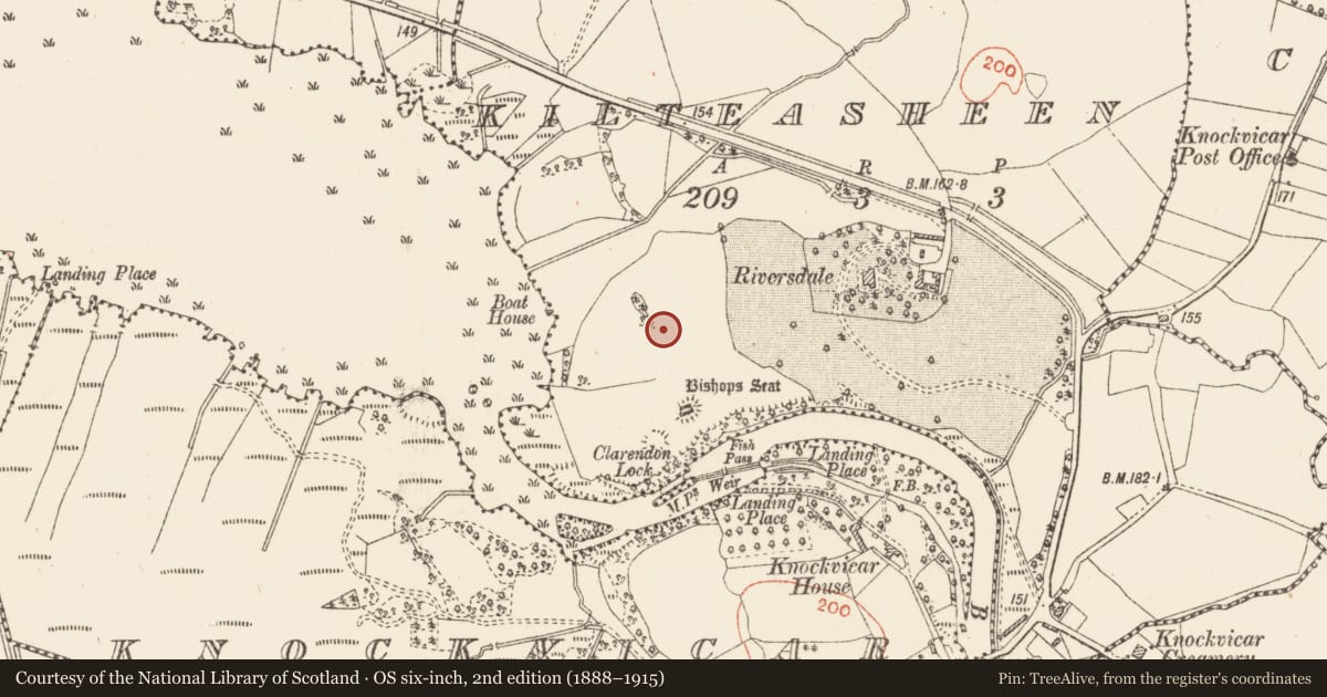 Ordnance Survey six-inch map, 2nd edition (1888–1915) covering the location of Field system, Kilteasheen, County Roscommon, with a pin at the register's coordinates