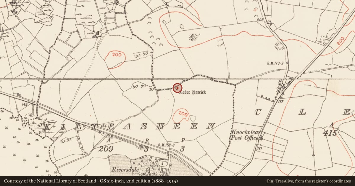 Ordnance Survey six-inch map, 2nd edition (1888–1915) covering the location of Ritual site - holy well, Kilteasheen, County Roscommon, with a pin at the register's coordinates