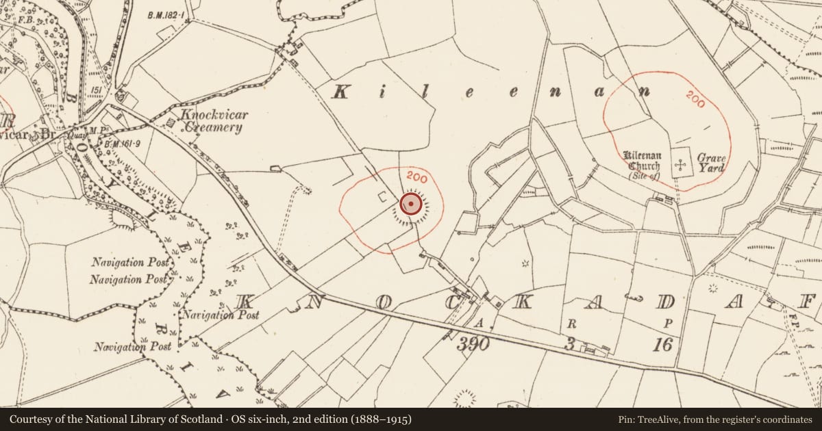 Ordnance Survey six-inch map, 2nd edition (1888–1915) covering the location of Ringfort - rath, Knockadaff, County Roscommon, with a pin at the register's coordinates