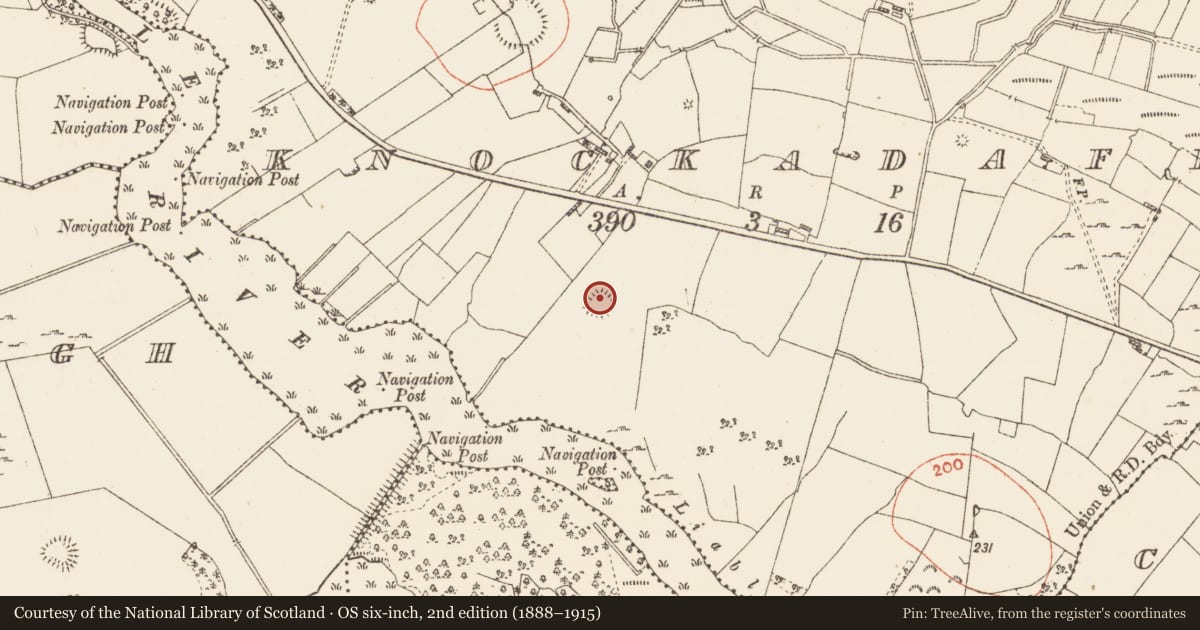 Ordnance Survey six-inch map, 2nd edition (1888–1915) covering the location of Ringfort - cashel, Knockadaff, County Roscommon, with a pin at the register's coordinates