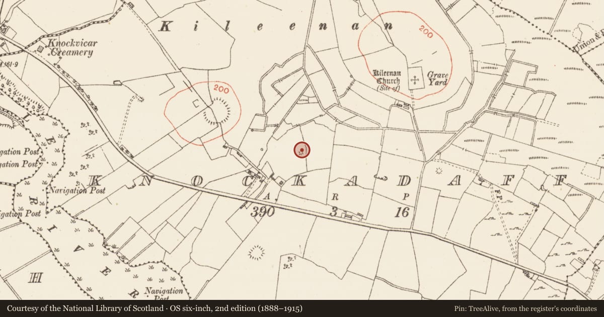 Ordnance Survey six-inch map, 2nd edition (1888–1915) covering the location of Earthwork, Knockadaff, County Roscommon, with a pin at the register's coordinates